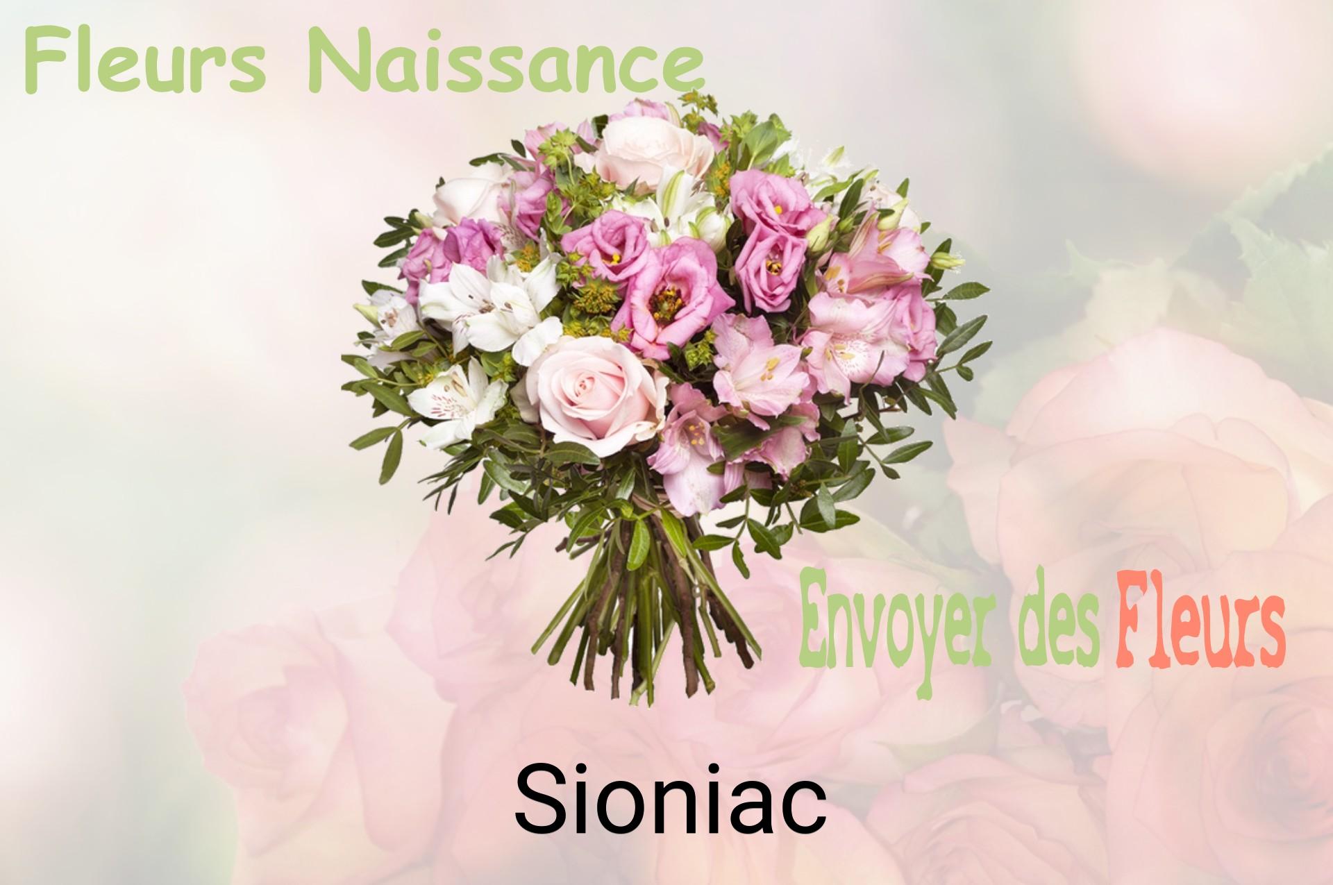 Bouquet de fleurs de naissance livré à Sioniac